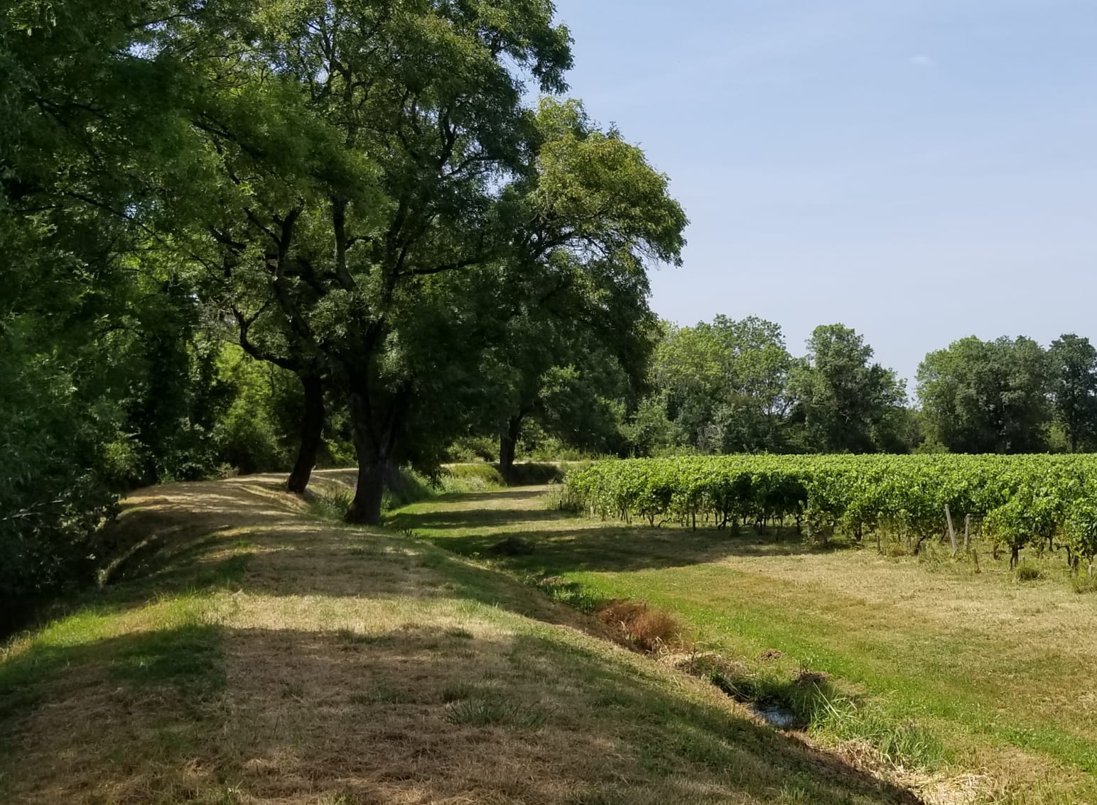 Vue aérienne du Château de Cazenove